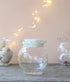 Wavy Clear Glass Container - Pack of 50
